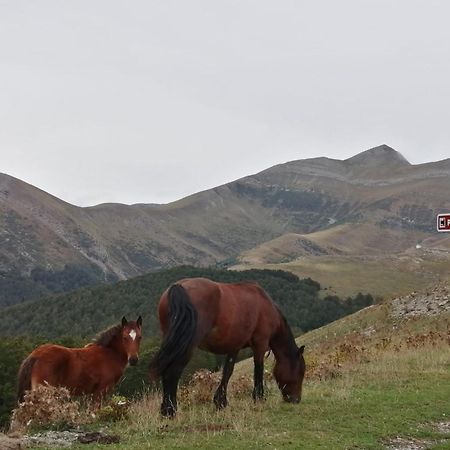Hostal Orialde Ochagavía Buitenkant foto